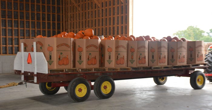 A truckload of pumpkins is ready for sale