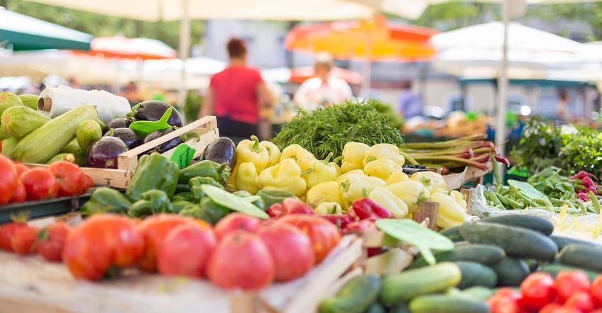 Farmers' food market stall with variety of vegetables.