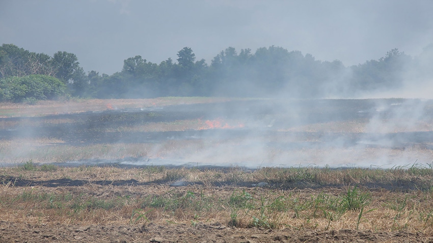 Prescribed crop fire in a field of wheat stubble.