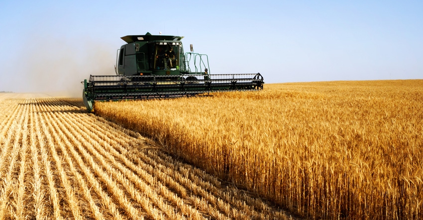 combine in wheat field