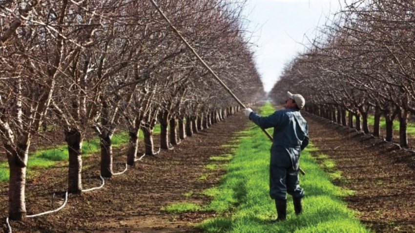 Crop adviser in orchard