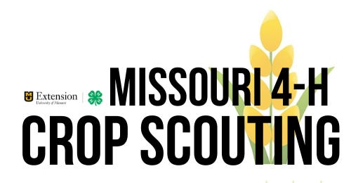 Missouri 4H Crop Scouting logo
