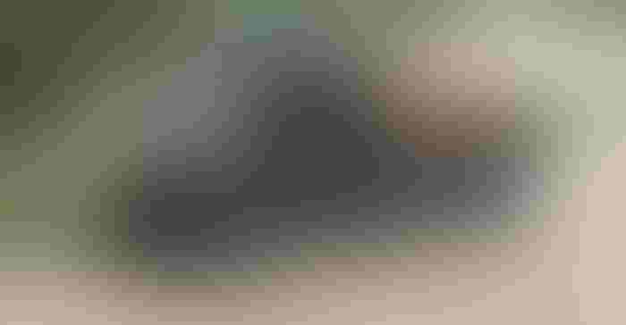 1014F2-2233B-1540x800.jpg 1014F2-2233B-1540x800.jpg