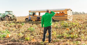 Leon Adams watches men load pumpkins into a school bus redesigned for pumpkin harvesting