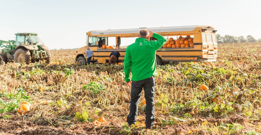 Leon Adams watches men load pumpkins into a school bus redesigned for pumpkin harvesting Leon Adams watches men load pumpkins into a school bus redesigned for pumpkin harvesting
