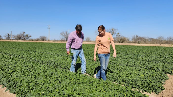 swfp-shelley-huguley-spinach-processing-ritchies-walking-field.jpg