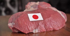raw meat and flag of Japan