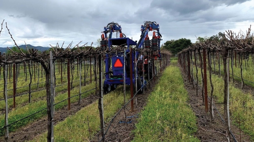 Automated pruner.