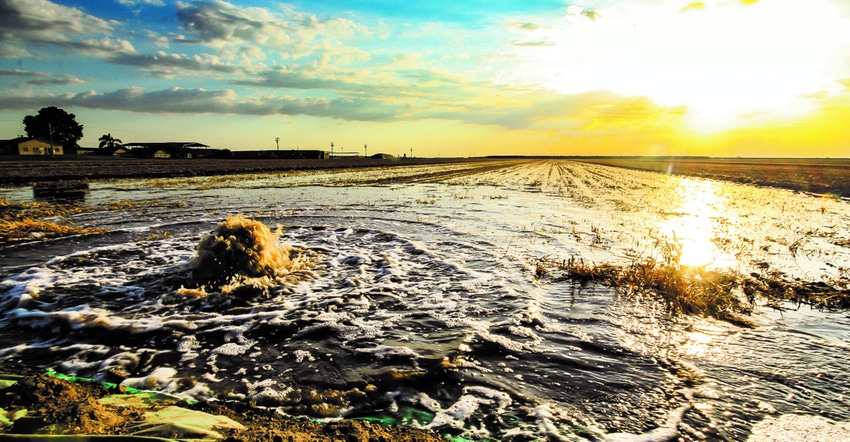 Sunset over agriculture