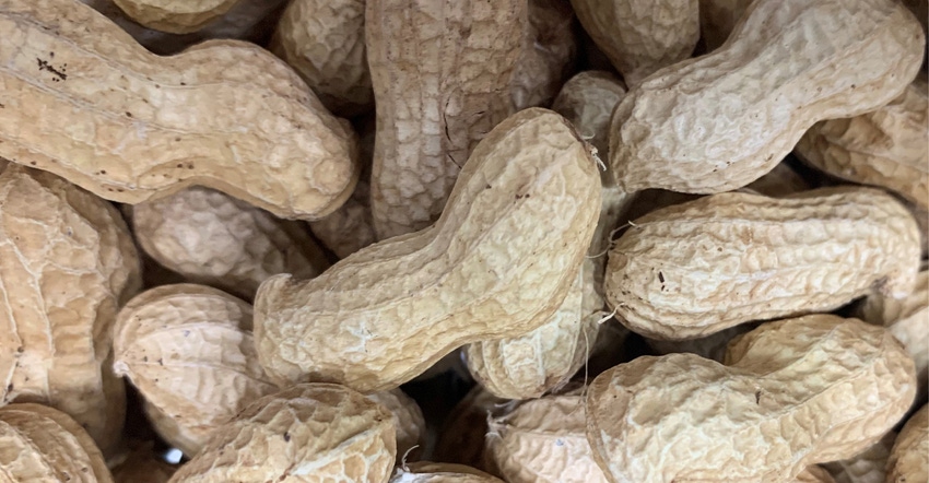 conrade-peanuts.jpg conrade-peanuts.jpg