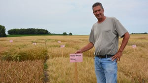 Man standing in field next to a sign reading "Winter wheat Winner"