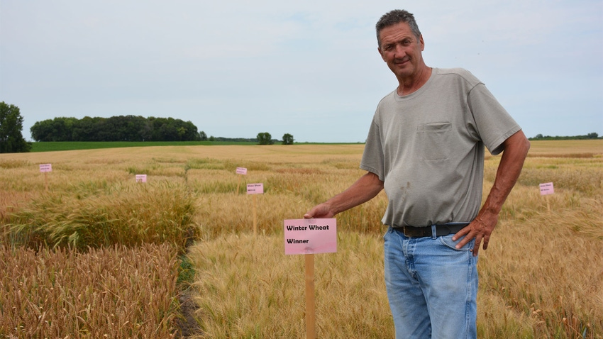 Man standing in field next to a sign reading "Winter wheat Winner" Man standing in field next to a sign reading "Winter wheat Winner"