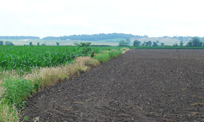 Soil sampling lays foundation for nutrient management planning