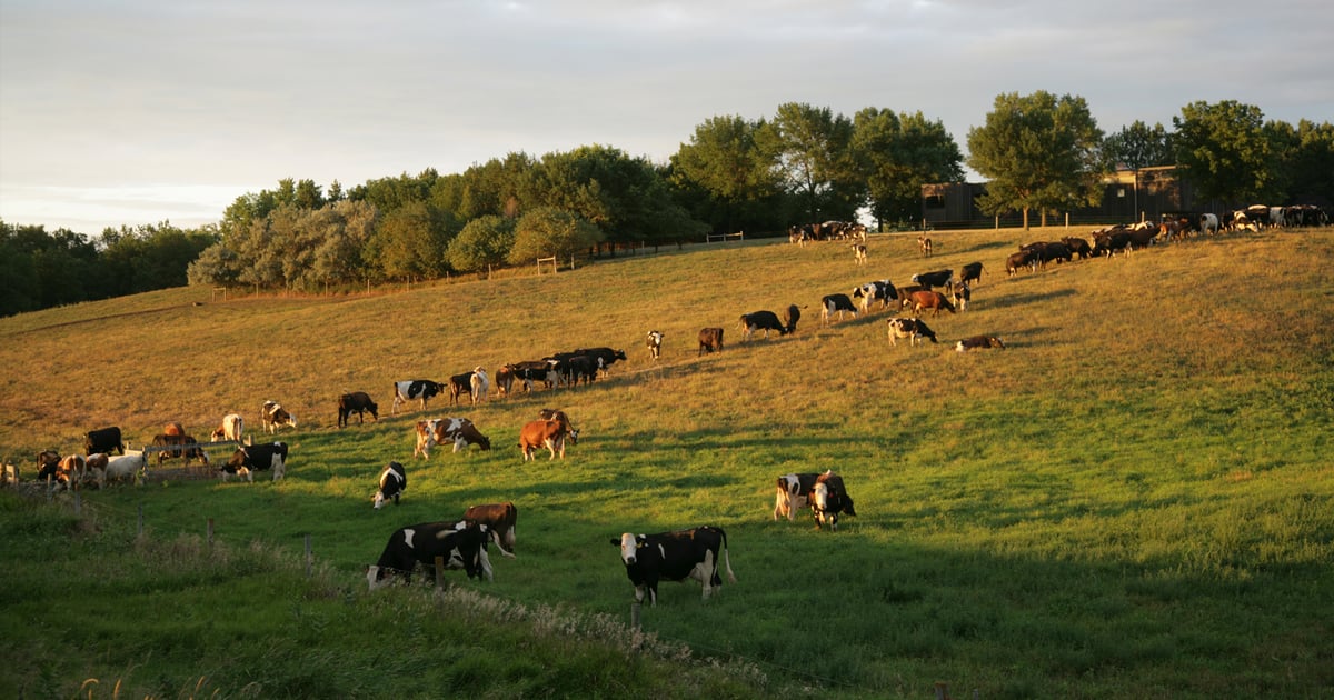 Minnesota through a photographer’s lens, Part 3 | Farm Progress