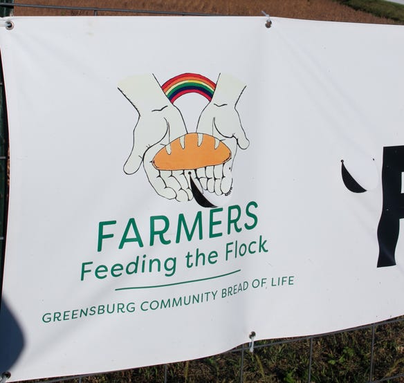 Farmers Feeding the Flock logo appears in front of the 2022 soybean field 