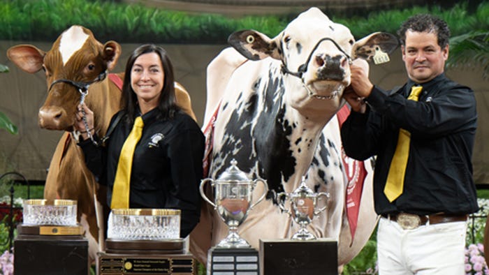  supreme champion cow is the grand champion Holstein cow and the supreme champion heifer