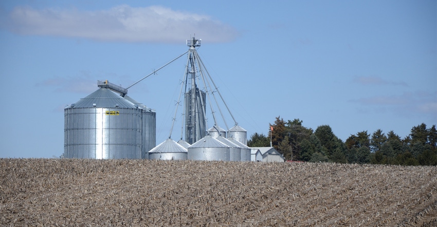 Dead corn field with silos in background