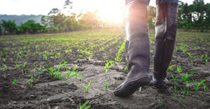 Boots In Field_1540x800_ICL Featured Image.jpeg