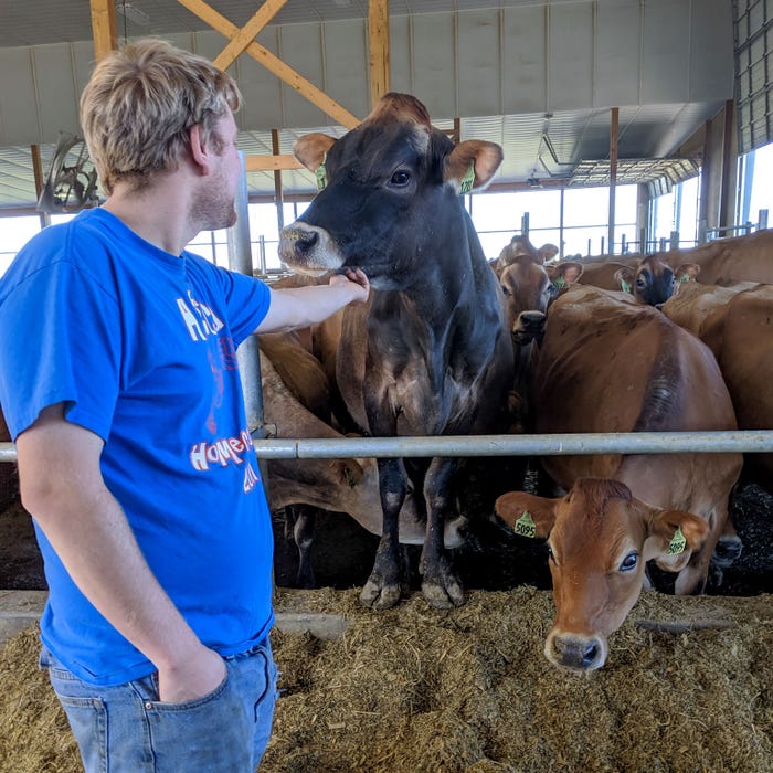 Lyman Rudgers gives a cow a scratch on the chin
