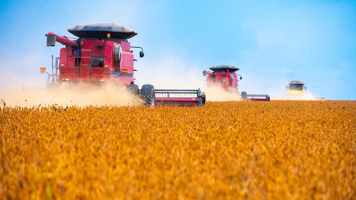 Will the soybean market go quiet? Or mount a voracious rally?