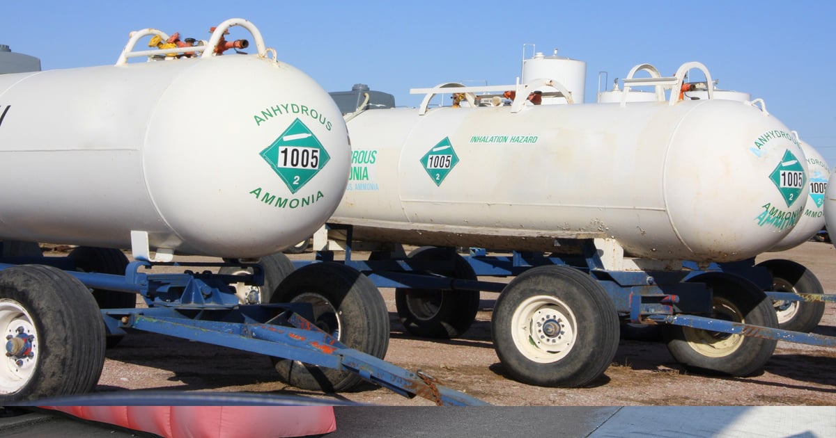 Save money on nitrogen applications without sacrificing yield