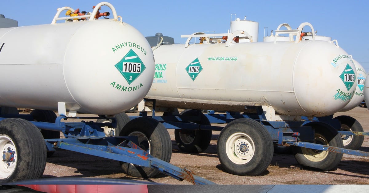 Save money on nitrogen applications without sacrificing yield