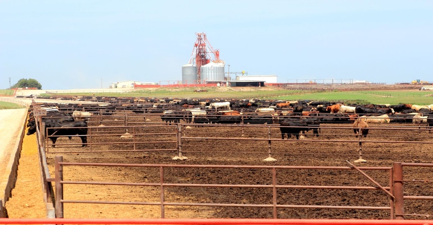 6-27-22 feedlots GettyImages-505565492.jpg 6-27-22 feedlots GettyImages-505565492.jpg
