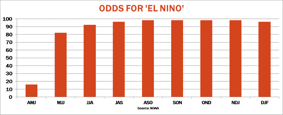 Odds for El Nino