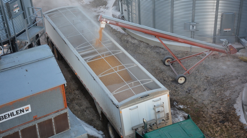 Semi being loaded with grain