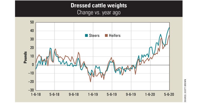 Graph of change in weight of cattle from January 2018 to May 2020