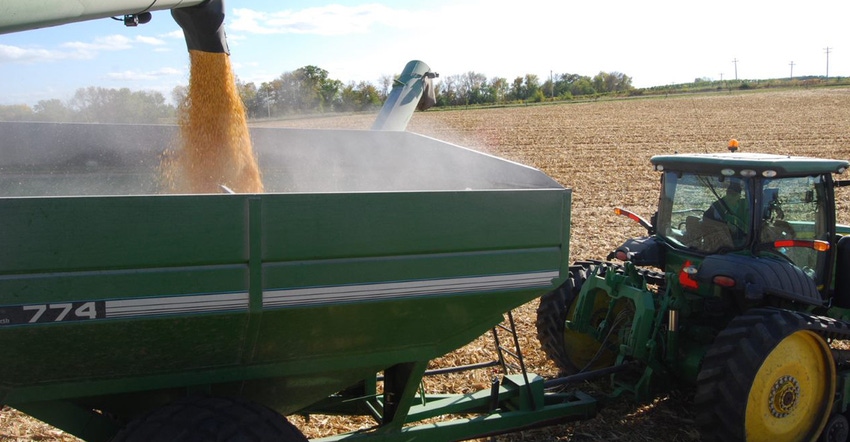 grain auger with corn kernals being dispersed into tractor trailer