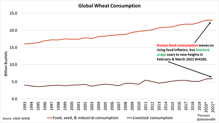 Global wheat consumption