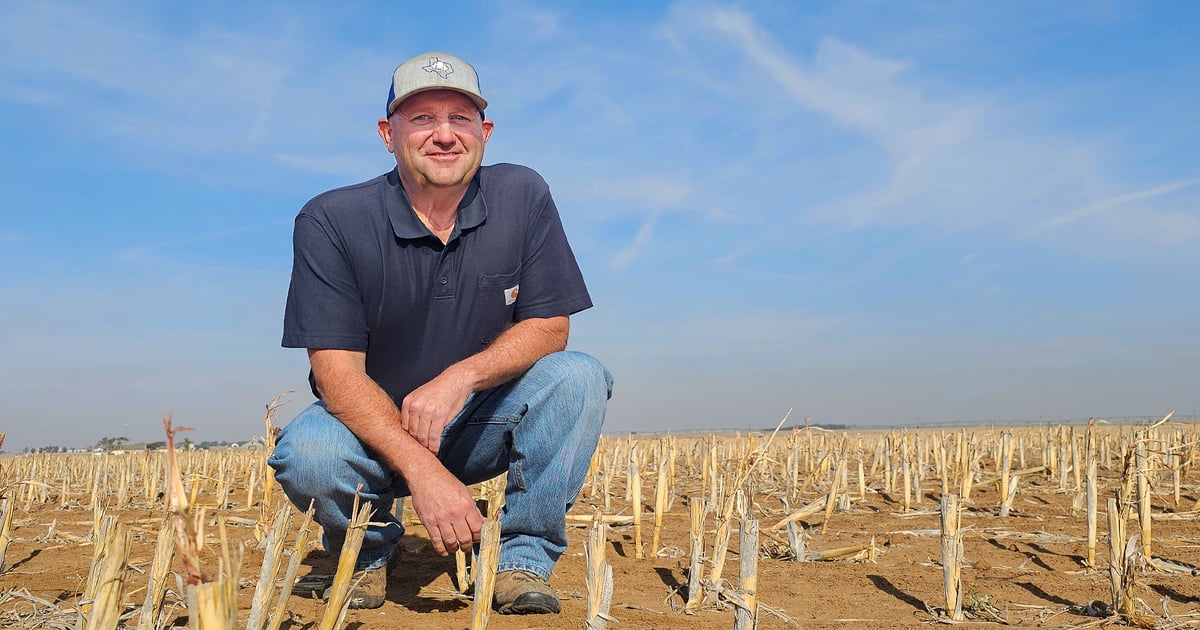 Cotton growers optimistic new funds, policy will lift industry