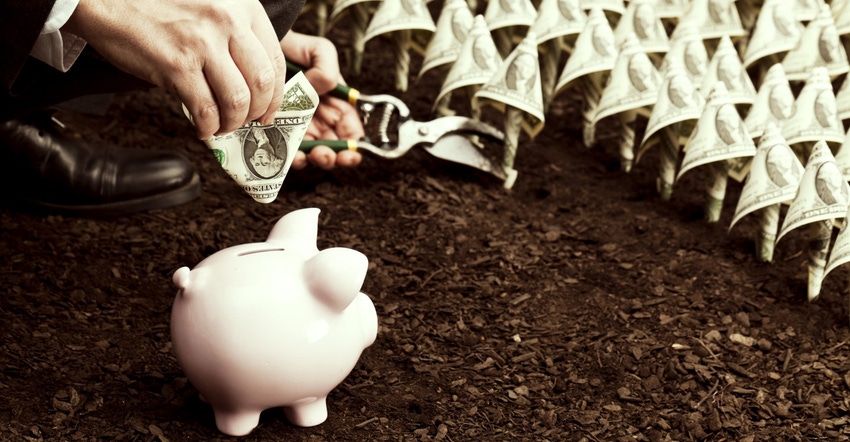 FPS piggy bank in field of dollar bills_FDS_Aluxum_iStock_Getty Images-1540x800.jpg
