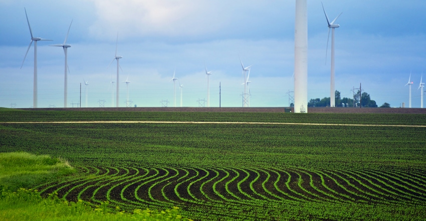 Minnesota Farmlands. Corn Lands and Wind Turbines