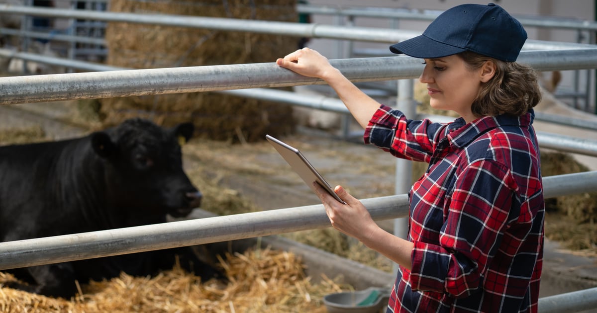 Tool helps streamline farm business decisions