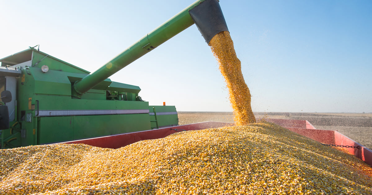 Bussel How to convert wet bushels to dry yield