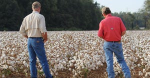 cotton-farmers-dfp-staff.jpg
