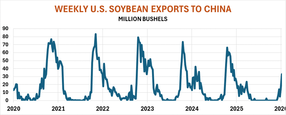 Weekly U.S. soybean exports to China