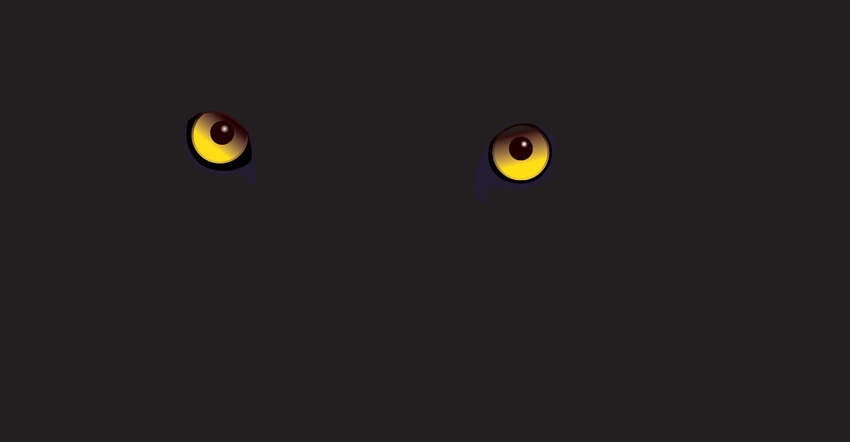 yellow predator eyes on black background