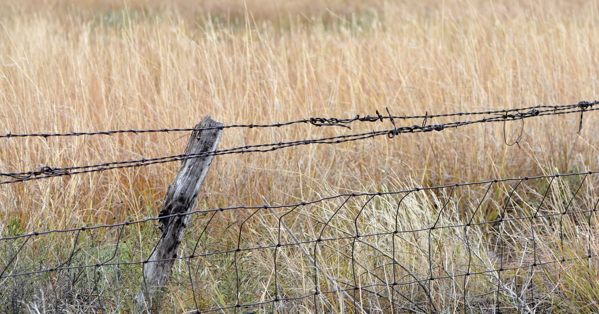 CRP risk management decision aid available through AgriLife Extension