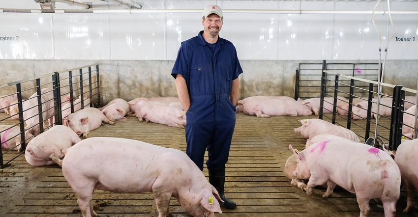 Hog farmer uses RFID tags for electronic feeding