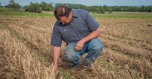 Jay Swede checks crops at Gary Swede Farms LLC in Genesee County