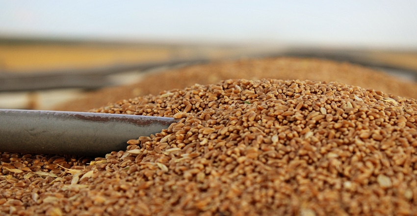 Wheat in a farm truck