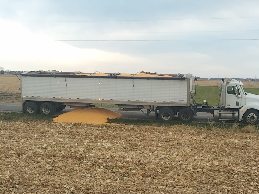 grain spill grain spill