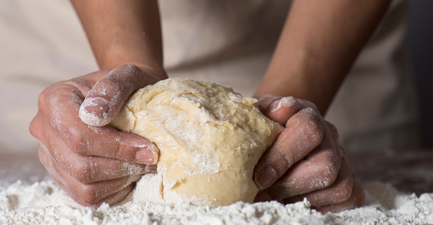hands kneeding dough