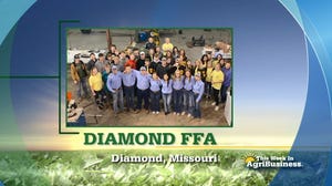 FFA Chapter Tribute - Diamond FFA