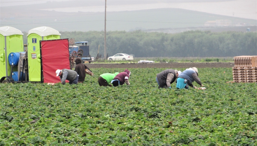 WFP-tim-hearden-workers2 (2).JPG WFP-tim-hearden-workers2 (2).JPG