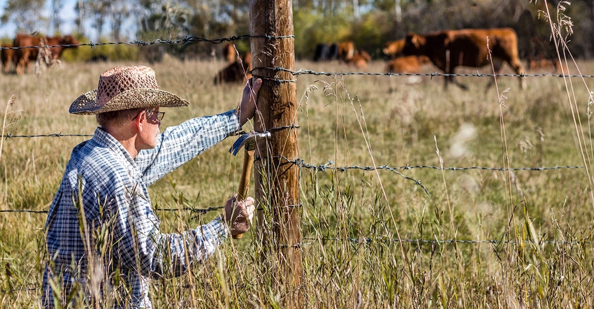 fencing-pasture-getty-images-istockphoto-641402420.jpg