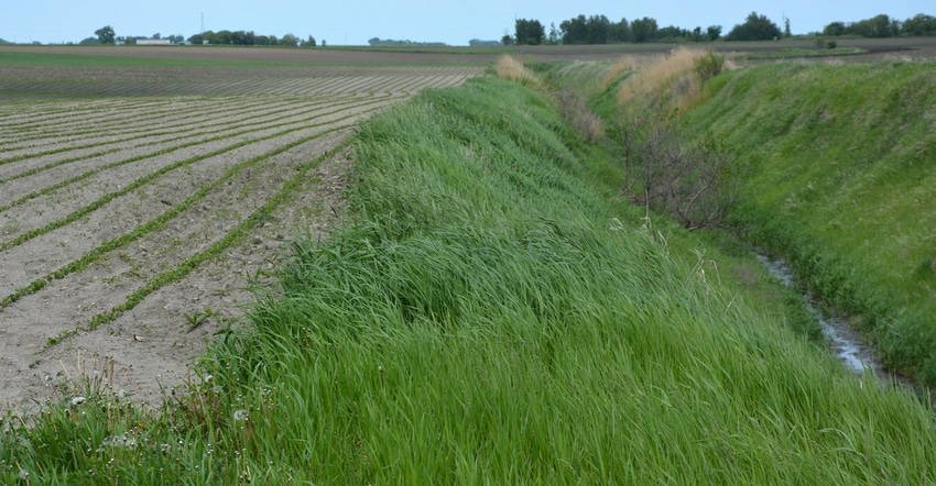 draining ditch in field